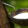 bio-based adhesive