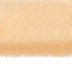 Scotch-Brite™ High Gloss Disc